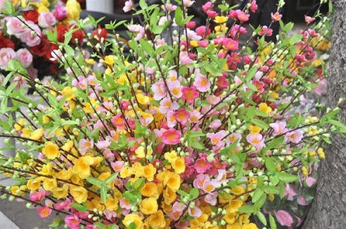  Kiêng kỵ khi cắm hoa trên bàn thờ Thần tài: - Tuyệt đối không được sử dụng cây cảnh, hoa giả, đồ nhựa để trên ban thờ Thần Tài. Bởi lẽ sử dụng hoa giả theo quan niệm đó là một sự giả dối, lừa lọc. Hoa tươi dùng để cúng là một cách thể hiện thành kính, thành tâm của gia chủ đối với các vị Thần đem lại may mắn, tài lộc đến với mình. 