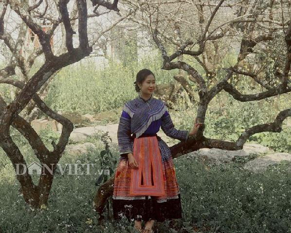 Nhiều bạn trẻ đã thuê những bộ trang phục truyền thống của dân tộc Mông, để chụp ảnh lưu giữ những khoảnh khắc đẹp trên cao nguyên Mộc Châu.