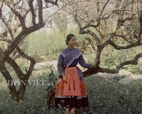 Nhiều bạn trẻ đã thuê những bộ trang phục truyền thống của dân tộc Mông, để chụp ảnh lưu giữ những khoảnh khắc đẹp trên cao nguyên Mộc Châu.