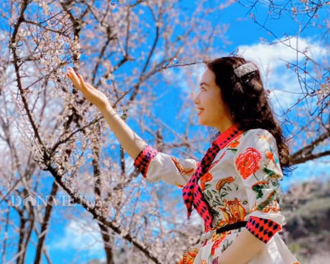 Đi sâu vào bên trong thung lũng mận, du khách sẽ được thỏa sức hít thở bầu không khí trong lành và cảm nhận được hương thơm từ những chùm hoa.