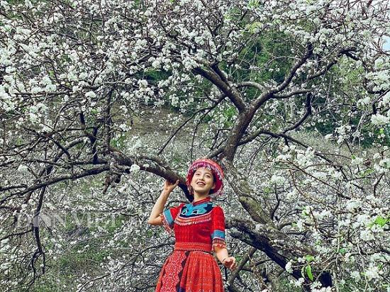 Từ thị trấn nông trường Mộc Châu rẽ vào hướng đi xã Tân Lập hơn 16 km, du khách sẽ thấy biển chỉ dẫn cách Tân Lập 9km thì rẽ trái, đi khoảng 1km là đến thung lũng Nà Ka. Đây là thung lũng mận Mộc Châu đẹp nhất với hơn 100ha mận bạt ngàn nối dài không dứt trên cao nguyên lộng gió.