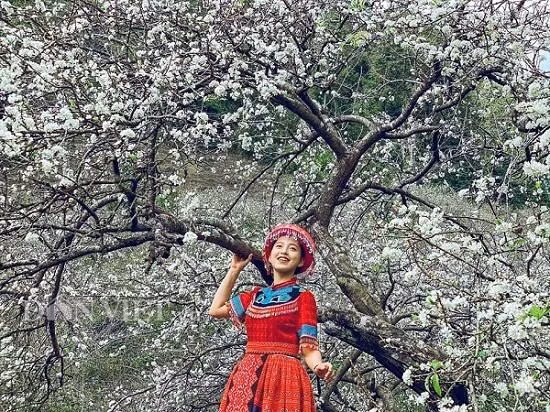 Từ thị trấn nông trường Mộc Châu rẽ vào hướng đi xã Tân Lập hơn 16 km, du khách sẽ thấy biển chỉ dẫn cách Tân Lập 9km thì rẽ trái, đi khoảng 1km là đến thung lũng Nà Ka. Đây là thung lũng mận Mộc Châu đẹp nhất với hơn 100ha mận bạt ngàn nối dài không dứt trên cao nguyên lộng gió.