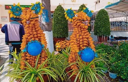 Cay mai dot bien hiem thay gia 200 trieu hut khach chiem nguong