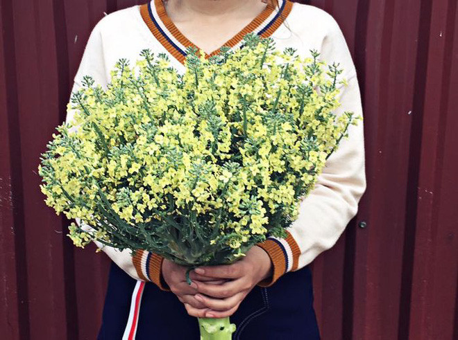 Bi dem bay ban trong sieu thi su hao no hoa khien dan mang sung sot-Hinh-5