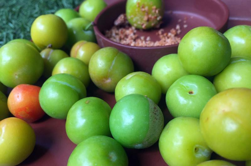 Mận có nhiều chất oxalate, nếu ăn nhiều sẽ làm giảm sự hấp thụ canxi. Vì oxalate canxi chính là nguyên nhân gây ra sỏi thận và bàng quang nên bạn cần tránh ăn quá nhiều mận.