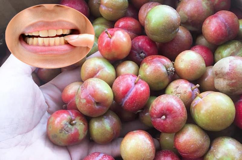Chất chua trong mận có thể làm ê buốt chân răng, đặc biệt là răng của trẻ em. Bởi vậy, những người ăn quá nhiều mận có nguy cơ bị sâu răng cao.