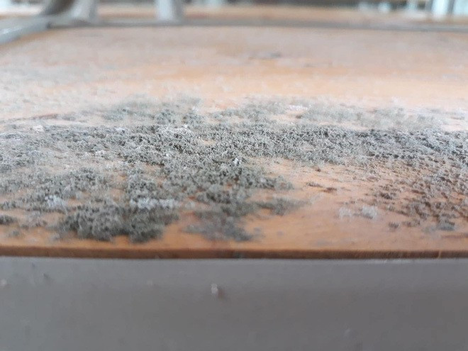 Tro lai truong sau thoi gian nghi dich: Ban ghe day bui, nha de xe “xanh co“