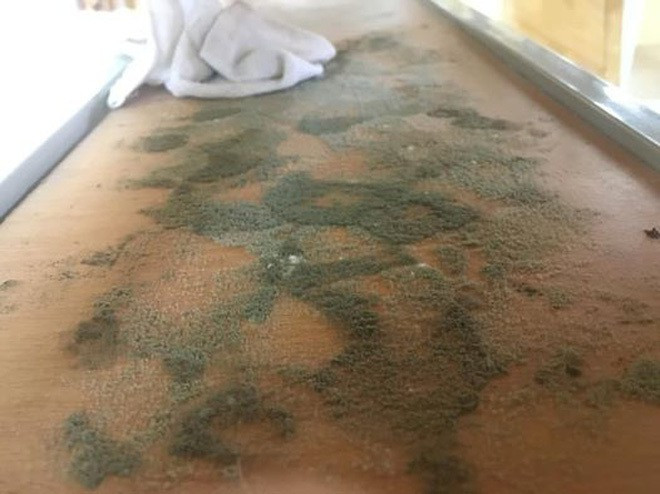 Tro lai truong sau thoi gian nghi dich: Ban ghe day bui, nha de xe “xanh co“-Hinh-3