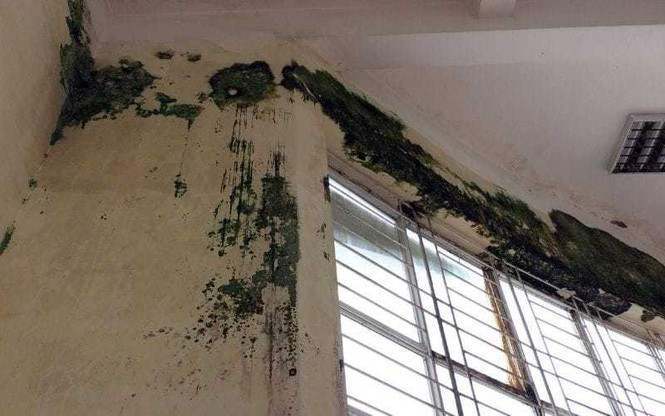 Tro lai truong sau thoi gian nghi dich: Ban ghe day bui, nha de xe “xanh co“-Hinh-2