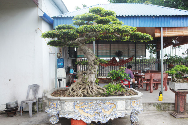 Một tác phẩm sanh dáng long khác cũng được anh Long mới mua với giá 1 tỷ đồng