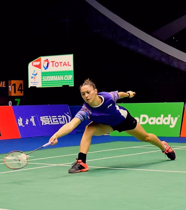 Somerville đã gặt hái được nhiều thành công từ môn thể thao yêu thích với tổng cộng 16 HCV ở các giải đấu chuyên nghiệp khác nhau.