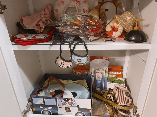 Tủ đồ của hai “meow meow” một chú chó cũng chất không kém.Ảnh: Dat Pham