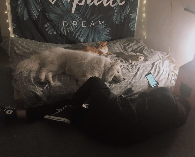 Cùng lướt qua loạt khoảnh khắc “cute hột me” của Dat Pham và ba người bạn đồng hành trong tổ ấm nhỏ nhé! Bật mí, danh tính của anh chàng nuôi thú cưng sẽ được "lộ diện" ở bức ảnh cuối đấy nhé!