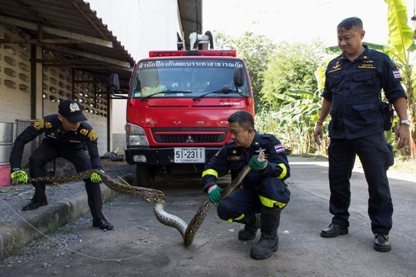 Tran khong lo dai ca met lo dau vao giuong 