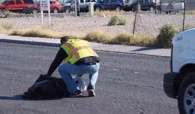 Nghe la nem do an cho… cun cung, dut tui 922 trieu dong/nam