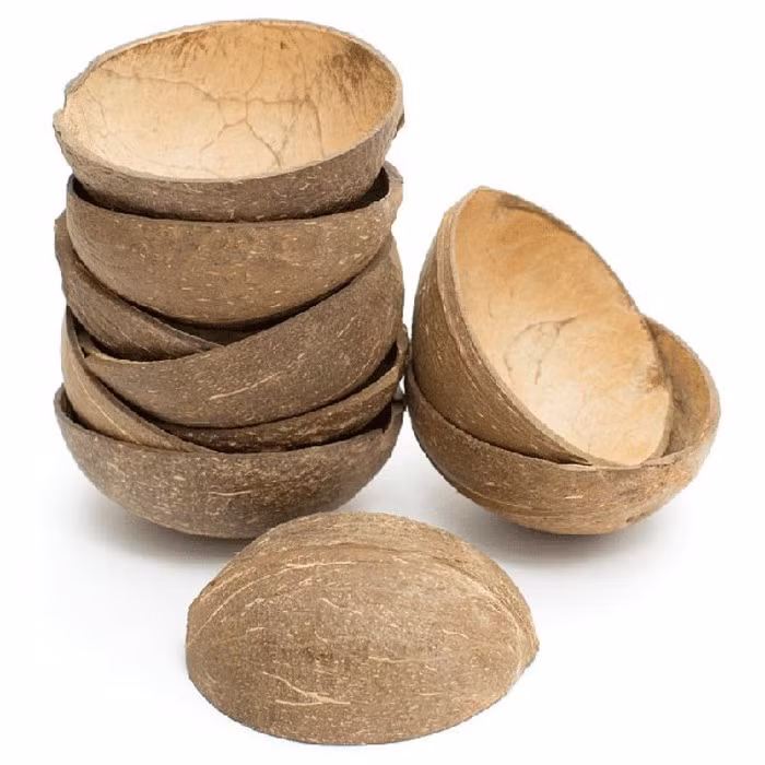 rong khi ở Việt Nam bỏ đi, gáo dừa thô chưa qua chế tác vẫn có giá trị tại nhiều nước như châu Âu. Những gáo dừa được rao bán để người mua sử dụng như sản phẩm thân thiện với môi trường