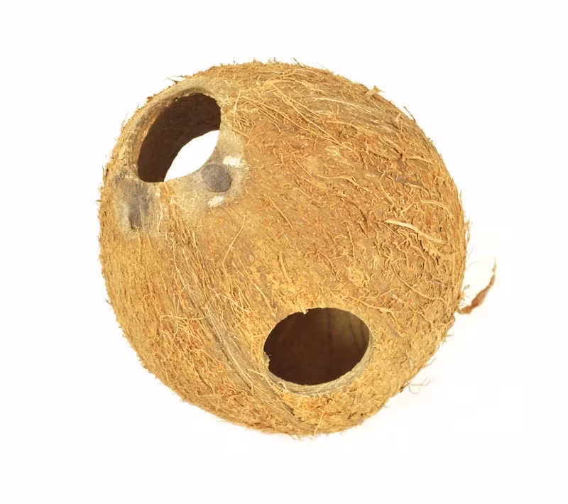 Gáo dừa khô khoan 3 lỗ bán tại thị trường châu Âu gần 200 nghìn đồng.