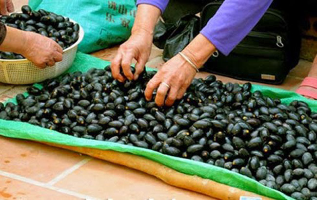 Chị Lan (chợ Ngã Tư Sở, Hà Nội) cho biết trám đen rất hiếm nên mỗi lần chị không lấy được nhiều hàng. "Chỉ cần có hàng là trong 1-2 tiếng đồng hồ đã hết veo. Nhiều người phải đặt hàng trước tôi mới giữ lại cho", chị Lan nói.