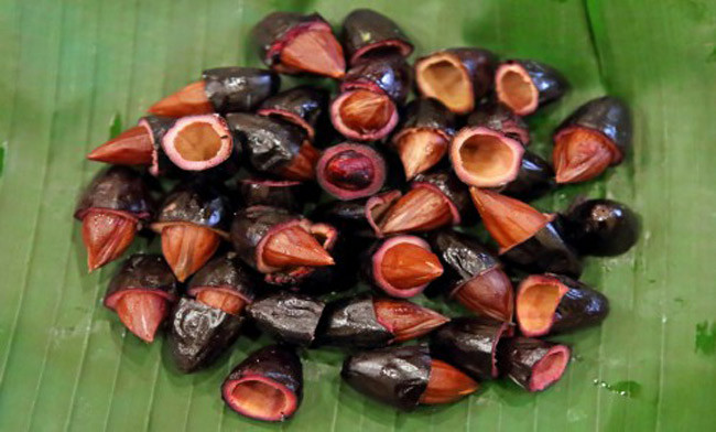 Vào đầu mùa, giá trám thường khá cao, dao động từ 90-120 nghìn đồng/kg. Trám đen Cao Bằng còn được bán với giá 180.000 đồng/kg.