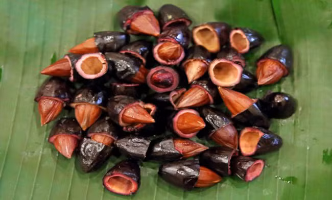 Vào đầu mùa, giá trám thường khá cao, dao động từ 90-120 nghìn đồng/kg. Trám đen Cao Bằng còn được bán với giá 180.000 đồng/kg.