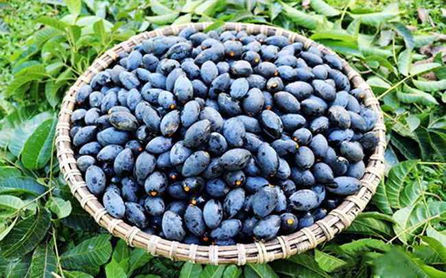 Nếu nhìn lần đầu, ai cũng sẽ thấy thứ quả này vô cùng "xấu xí", màu đen nhẻm như cục than, dáng hình thoi. Phải đến khi thưởng thức, mọi người mới công nhận sức hút khó cưỡng của thứ quả này.