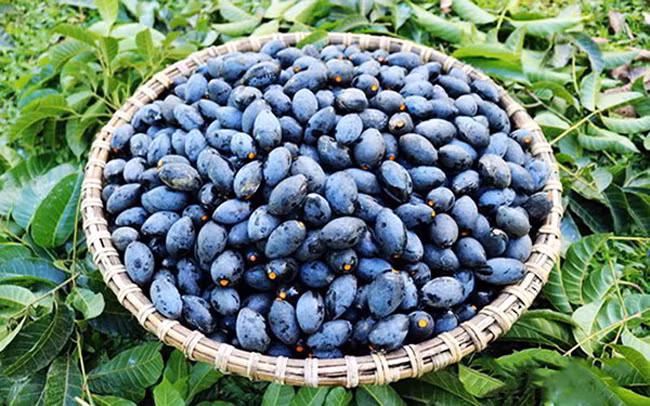 Nếu nhìn lần đầu, ai cũng sẽ thấy thứ quả này vô cùng "xấu xí", màu đen nhẻm như cục than, dáng hình thoi. Phải đến khi thưởng thức, mọi người mới công nhận sức hút khó cưỡng của thứ quả này.