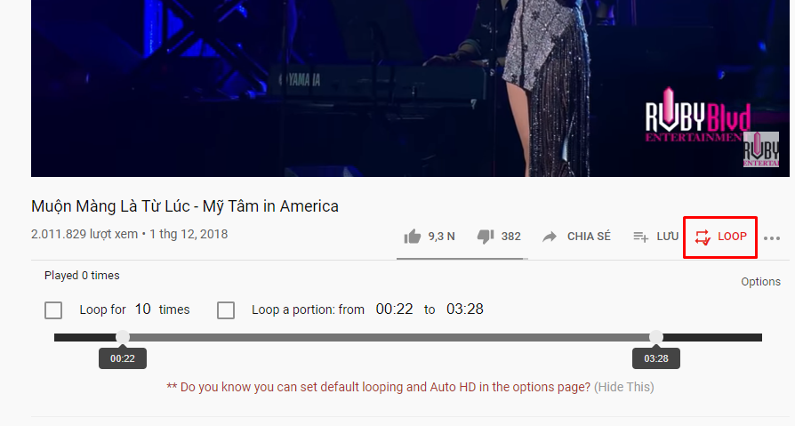 Huong dan 3 cach tu dong phat lap lai video tren Youtube-Hinh-4