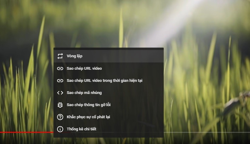 Huong dan 3 cach tu dong phat lap lai video tren Youtube