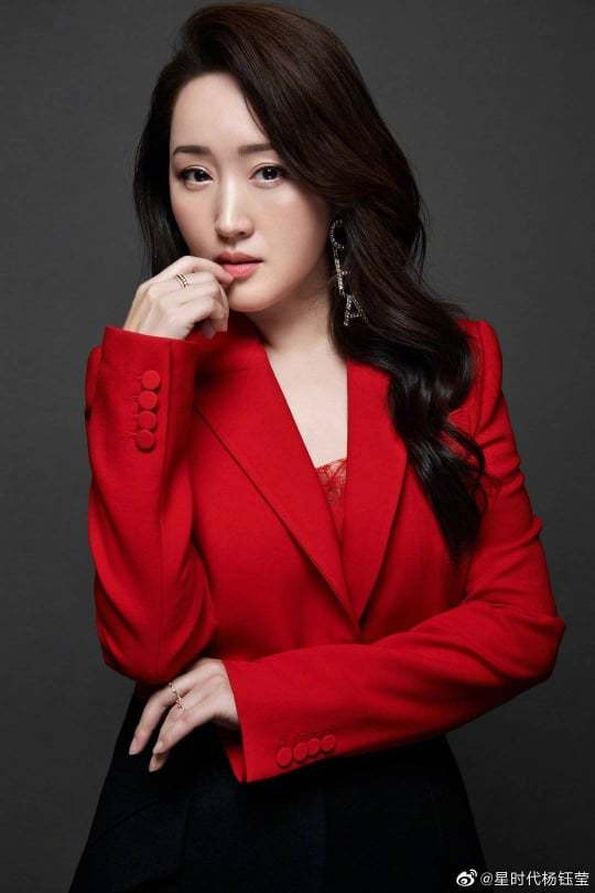 Mãi cho đến năm 2012, cô mới tái xuất trở lại. Cho dù tên tuổi, hào quang sân khấu không thể quay trở lại như ngày xưa nhưng Dương Ngọc Ánh luôn thấy hài lòng về cuộc sống an nhiên hiện tại.