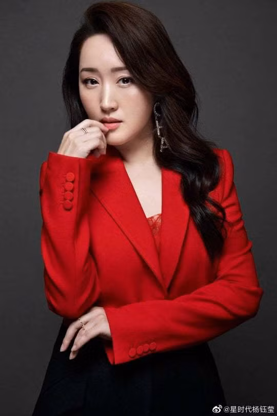 Mãi cho đến năm 2012, cô mới tái xuất trở lại. Cho dù tên tuổi, hào quang sân khấu không thể quay trở lại như ngày xưa nhưng Dương Ngọc Ánh luôn thấy hài lòng về cuộc sống an nhiên hiện tại.