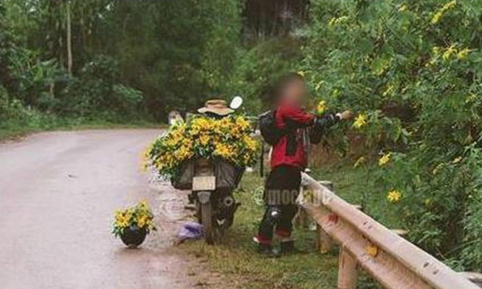 Có thể thấy rằng, những khách du lịch theo kiểu "hai ngón" này luôn dễ bị mê đắm bởi tất cả mọi thứ trong tầm mắt của mình và họ sẽ có thể tìm đủ mọi cách để "vớ" vài món về nhà, cho dù điều đó là bất hợp pháp.