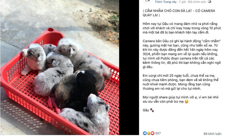 Khi đặt chân đến một vùng đất mới, chúng ta thật dễ dàng bị hấp dẫn bởi những món đồ, những thứ độc đáo, dễ thương mà chỉ nơi đó mới có. Thế nhưng đó không nên được xem là lý do khiến nhiều thành phần thích "chôm chỉa".