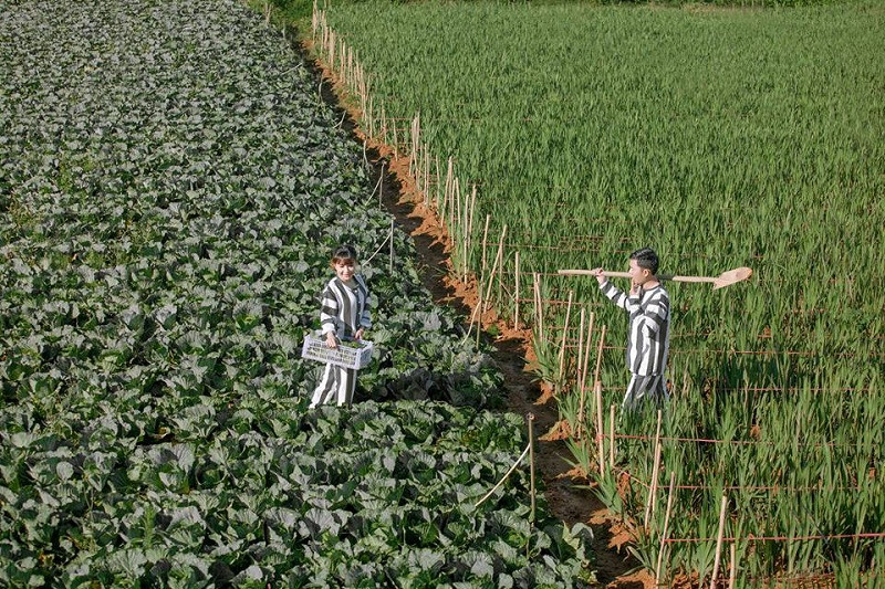 Sự độc đáo trong ý tưởng luôn mang đến cho album ảnh cưới sức hút riêng. Mới đây, MXH giật mình trước bộ ảnh cưới áo tù của một cặp đôi đến từ Sài Gòn.