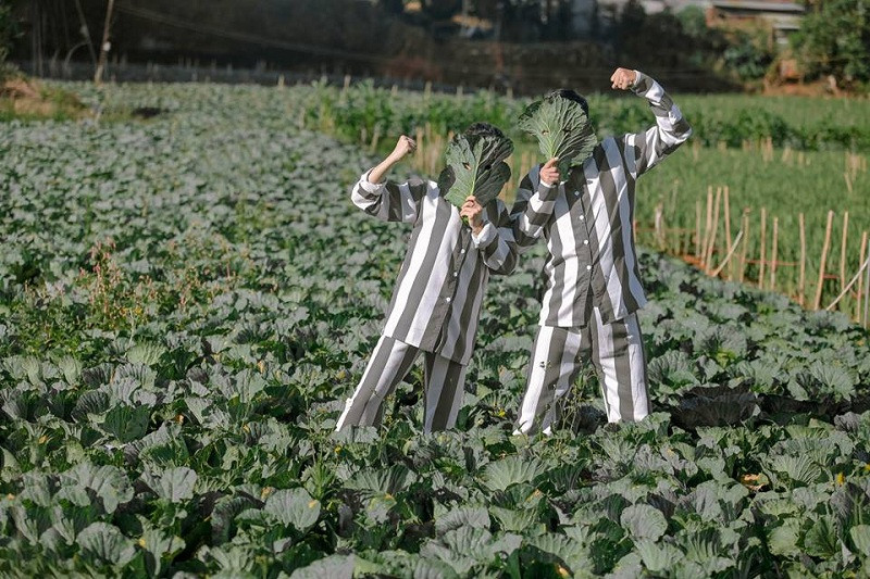 Chỉ sau ít giờ xuất hiện trên MXH, bộ ảnh cưới tù nhân này đã nhanh chóng thu hút hàng chục nghìn lượt like, chia sẻ và bình luận với những luồng ý kiến, phản hồi trái chiều.