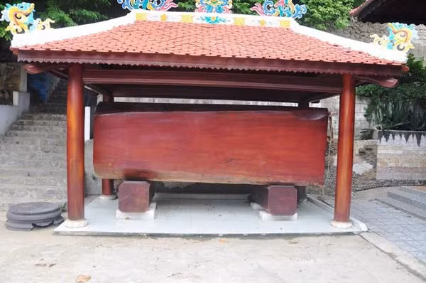 Ở đây còn trưng bày cả những khúc gỗ cổ thụ được mang về từ giữa rừng sâu.