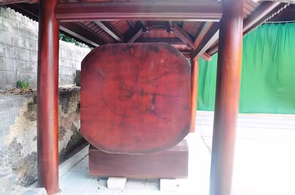 Ông Lưỡng nói rằng từng có hơn 100 người dân ở đây ký vào “Đơn xin cứu xét” gởi Chủ tịch nước, Chủ tịch Quốc hội, Thủ tướng Chính phủ cùng lãnh đạo TP. Đà Nẵng và quận Liên Chiểu xin được giữ lại khu biệt phủ này.