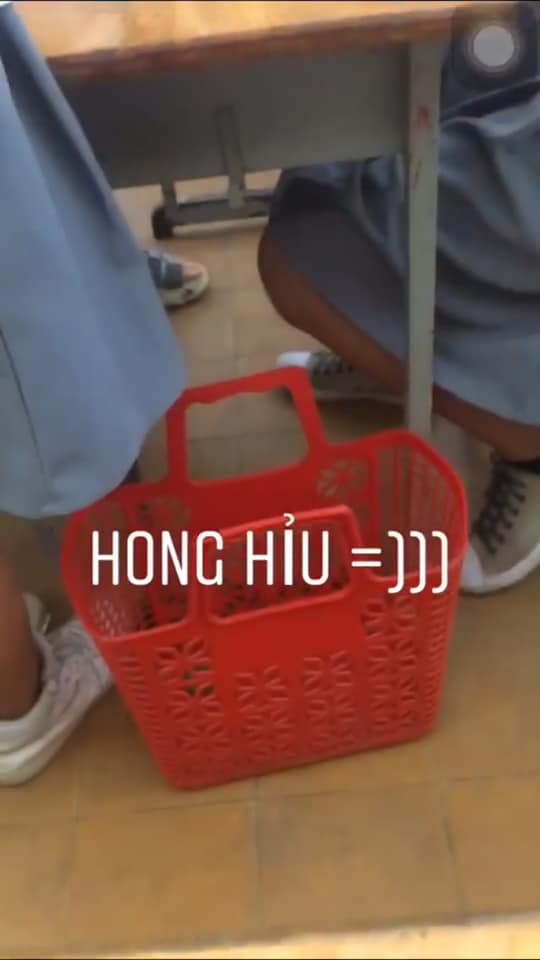 Làn không chỉ để đi chợ, đựng đồ ăn. Trong mắt các bạn học sinh nay nó còn thêm công dụng đi học và đựng sách vở.