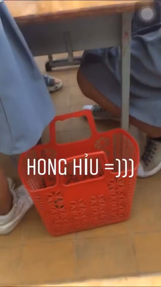 Làn không chỉ để đi chợ, đựng đồ ăn. Trong mắt các bạn học sinh nay nó còn thêm công dụng đi học và đựng sách vở.