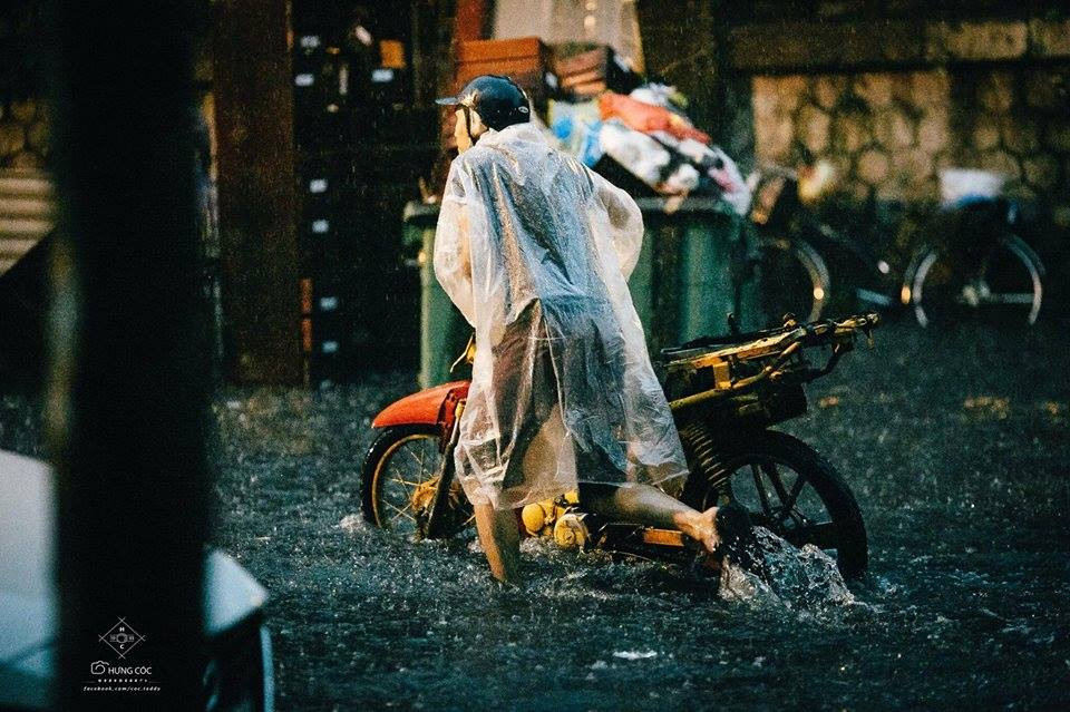 Nickname Trinh Miu chia sẻ: "Nhớ hồi đó, những buổi nghe nói Hà Nội trở lạnh và hoa sữa nở trắng xanh từng góc phố, ta lại phập phồng hồi hộp đợi cây hoa sữa trong ký túc xá nở hoa, để lăm le vặt trộm một chùm đem về để đầu giường, bất chấp lũ bạn cùng phòng nhăn nhó kêu hoa mùi gì kỳ quá".