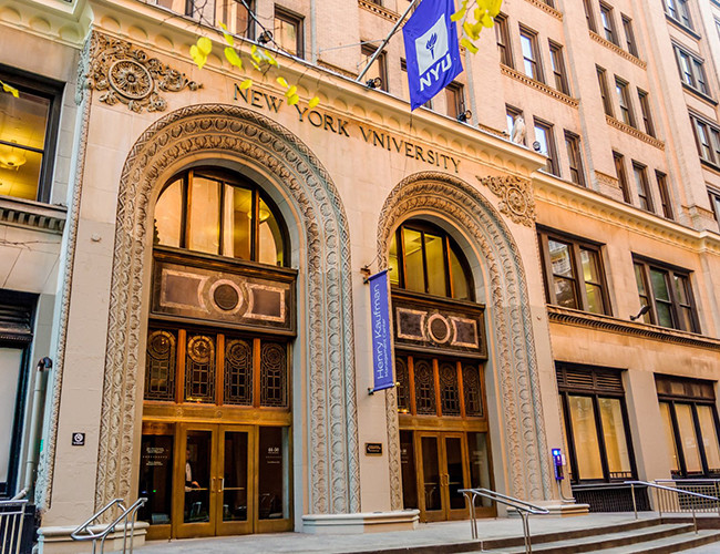 Singh đã dành một khoảng thời gian nghiên cứu nghệ thuật tự do tại Đại học New York (NYU) ở thành phố New York