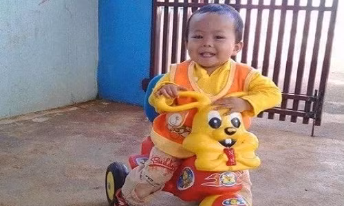 Xot xa cha lap ban tho con sau mot nam rong mat tich-Hinh-3