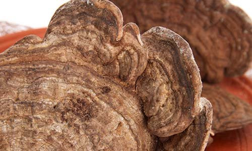 Diem dac san Phu Quoc “dat sat ra mieng” duoc san lung-Hinh-2