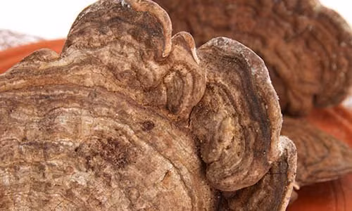 Diem dac san Phu Quoc “dat sat ra mieng” duoc san lung-Hinh-2