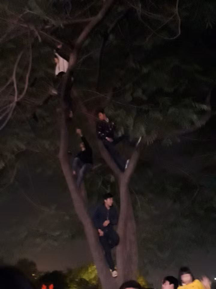 Để có được những góc nhìn tốt nhất trước sân khấu chính của chương trình đếm ngược chào đón năm mới 2018, các bạn trẻ đã không ngần ngại trèo lên cây khu vực xung quanh phố đi bộ Hồ Gươm.