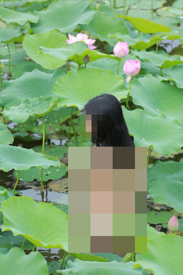 Bộ ảnh cô gái khỏa thân đầm sen đẹp thì chưa thấy đâu, chỉ thấy phản cảm "đập" thẳng vào mắt người xem, khiến chủ nhân bộ ảnh nhận về cả đống gạch đá.