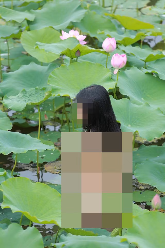 Bộ ảnh cô gái khỏa thân đầm sen đẹp thì chưa thấy đâu, chỉ thấy phản cảm "đập" thẳng vào mắt người xem, khiến chủ nhân bộ ảnh nhận về cả đống gạch đá.