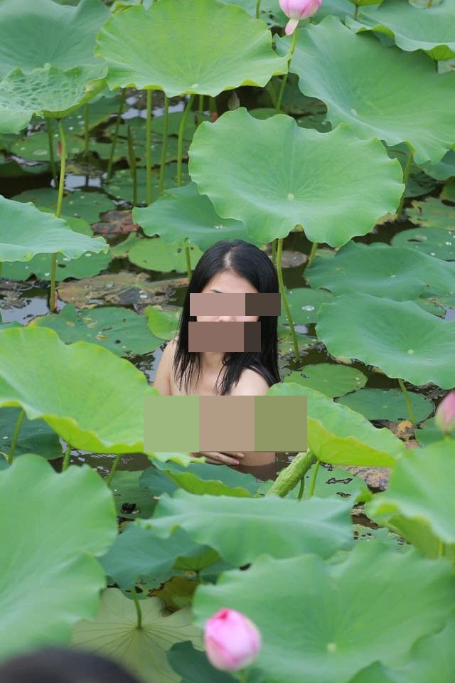 Nickname H.H chia sẻ: " hoa sen là loài hoa tượng trưng cho vẻ đẹp trong sáng, mong manh và thuần khiết, chẳng hiểu sao lại có thể dùng để chụp hình phản cảm thế này".