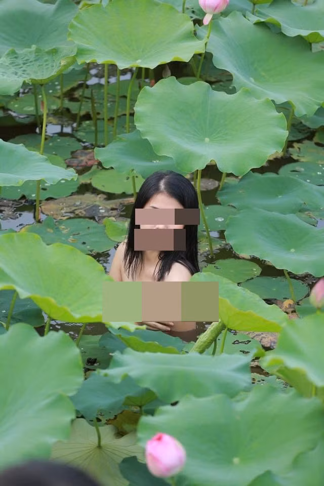 Nickname H.H chia sẻ: " hoa sen là loài hoa tượng trưng cho vẻ đẹp trong sáng, mong manh và thuần khiết, chẳng hiểu sao lại có thể dùng để chụp hình phản cảm thế này".