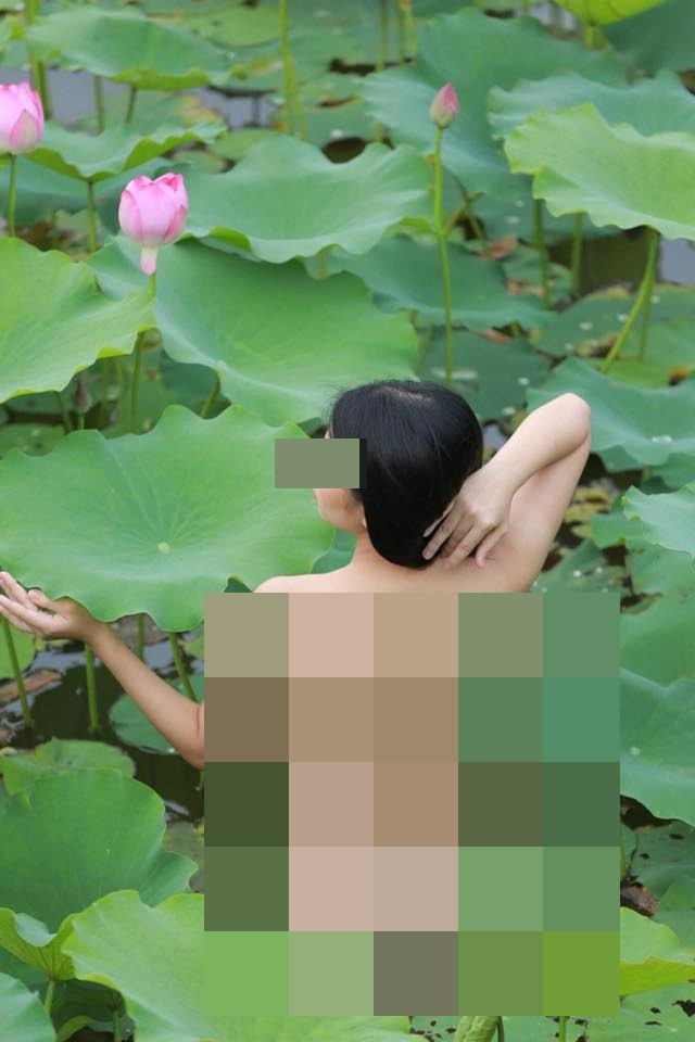 Những tư thế tạo dáng chụp ảnh đầy thô tục của cô gái bị đánh giá là làm xấu đi hình ảnh của loài hoa vốn nổi tiếng với vẻ đẹp thuần khiết như hoa sen.
