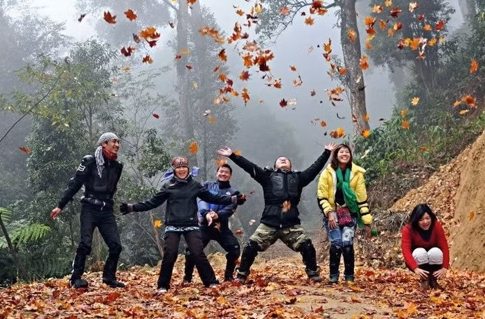 Cũng theo các bạn trẻ đã từng săn thành công loài cây đặc trưng của vùng ôn đới này thì một trong những điểm có rừng phong nổi tiếng nhất là Chế Tạo, thuộc Mường La, Sơn La. Đây là cung đường offroad mà phượt thủ nào cũng phải dè chừng khi nhắc tới.